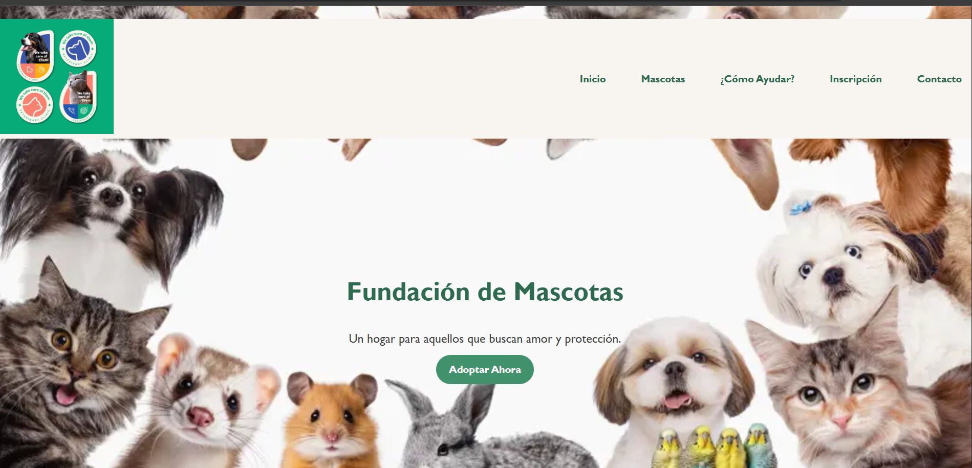 HTML CSS